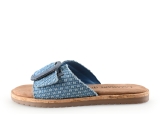Lazamani Flip-Flops