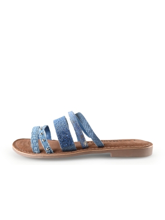 Lazamani Flip-Flops