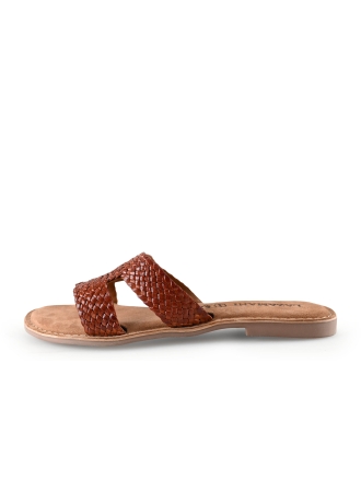 Lazamani Flip-Flops
