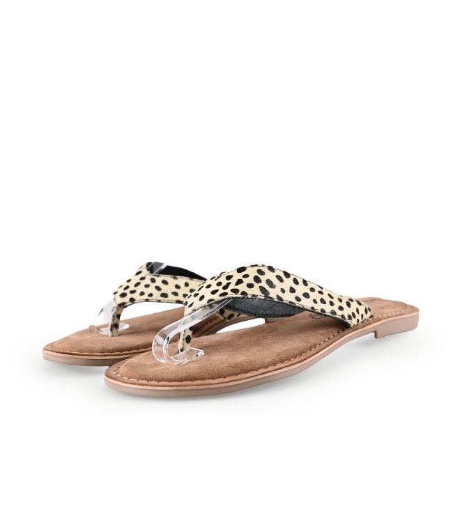 Lazamani Flip-Flops