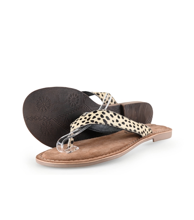 Lazamani Flip-Flops