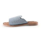 Lazamani Flip-Flops