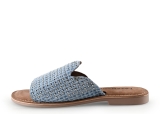 Lazamani Flip-Flops