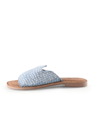Lazamani Flip-Flops