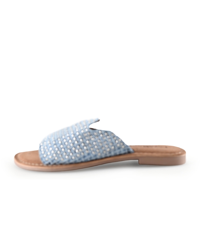 Lazamani Flip-Flops