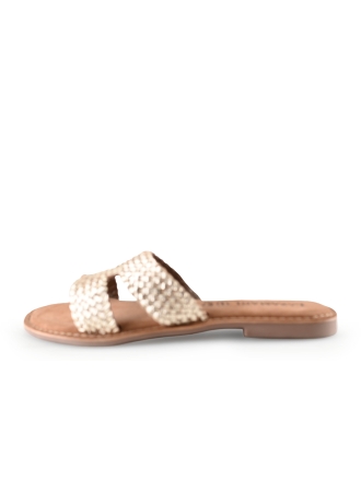 Lazamani Flip-Flops
