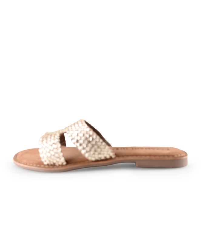 Lazamani Flip-Flops