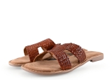 Lazamani Flip-Flops