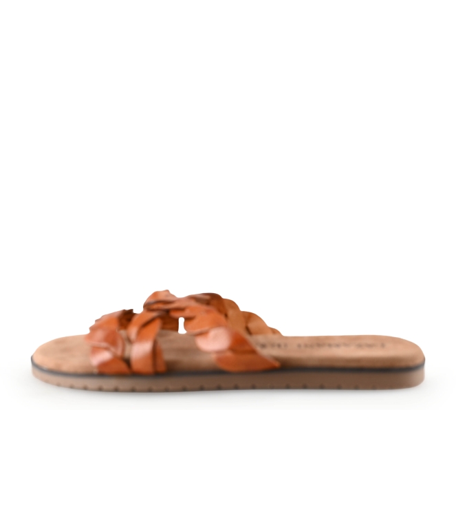 Lazamani Flip-Flops
