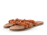 Lazamani Flip-Flops