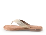 Lazamani Flip-Flops