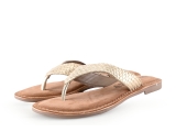 Lazamani Flip-Flops