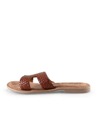 Lazamani Flip-Flops