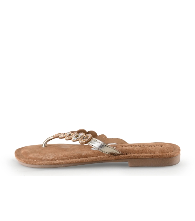 Lazamani Flip-Flops