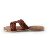 Lazamani Flip-Flops