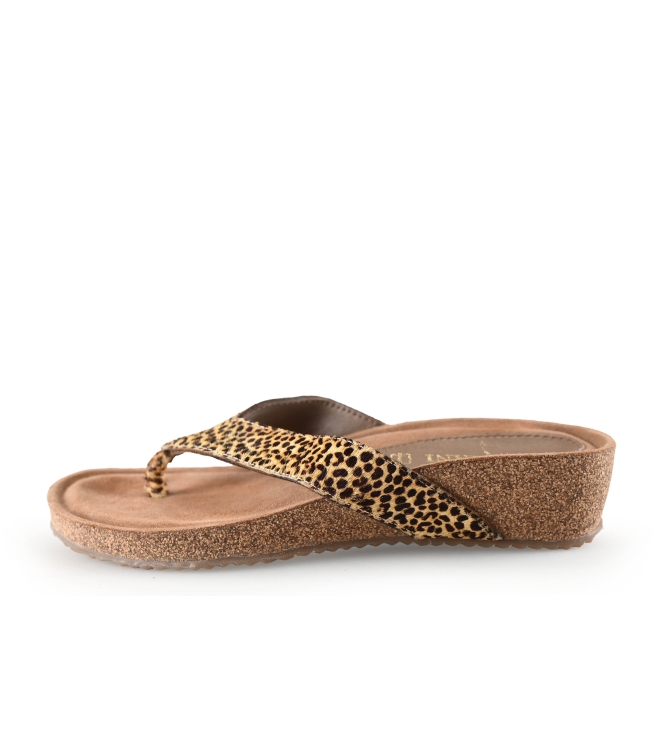 Lazamani Flip-Flops