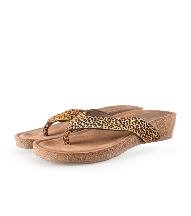 Lazamani Flip-Flops