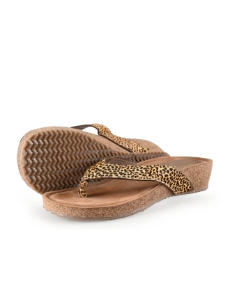 Lazamani Flip-Flops