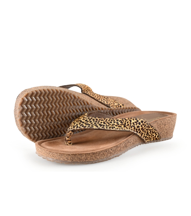 Lazamani Flip-Flops