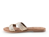 Lazamani Flip-Flops