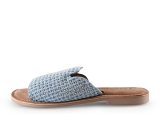 Lazamani Flip-Flops
