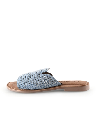 Lazamani Flip-Flops