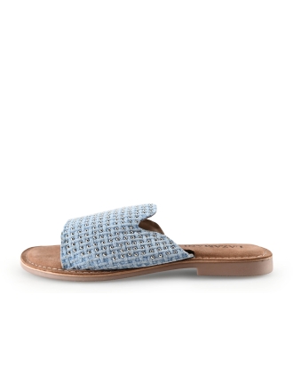 Lazamani Flip-Flops