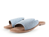 Lazamani Flip-Flops