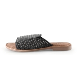 Lazamani Flip-Flops