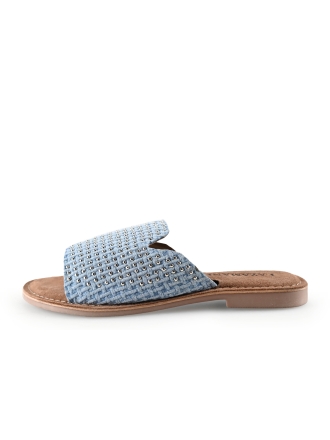 Lazamani Flip-Flops