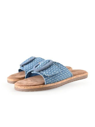 Lazamani Flip-Flops