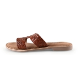 Lazamani Flip-Flops
