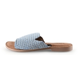 Lazamani Flip-Flops