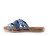 Lazamani Flip-Flops