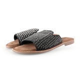 Lazamani Flip-Flops