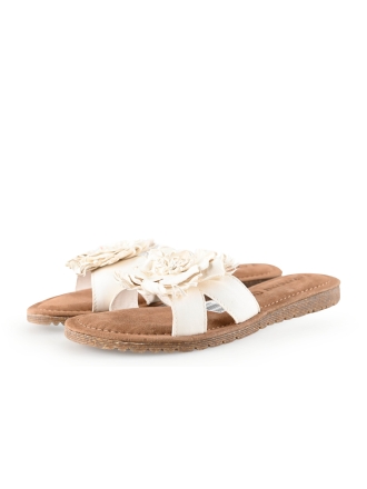Lazamani Flip-Flops