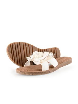 Lazamani Flip-Flops