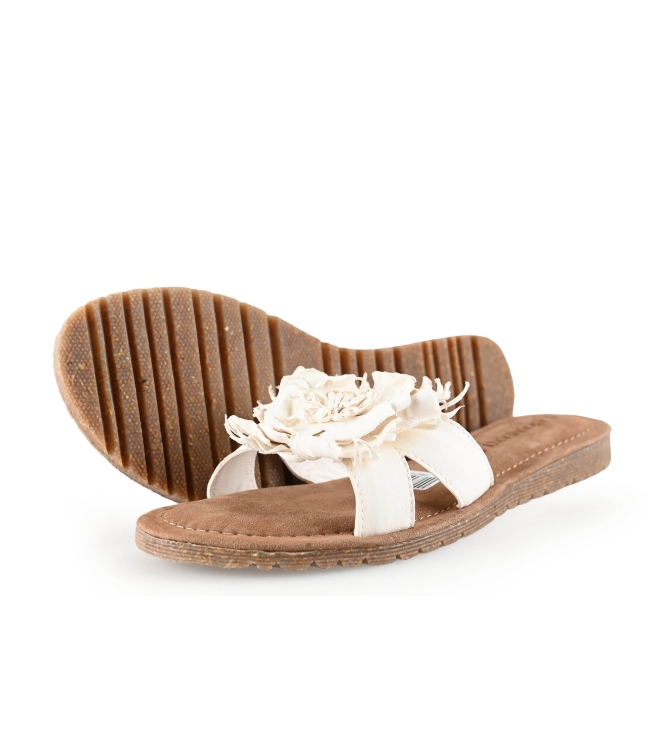 Lazamani Flip-Flops