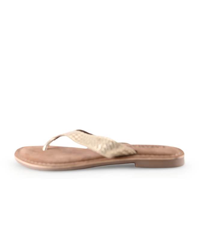 Lazamani Flip-Flops