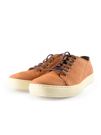 Timberland Sneaker
