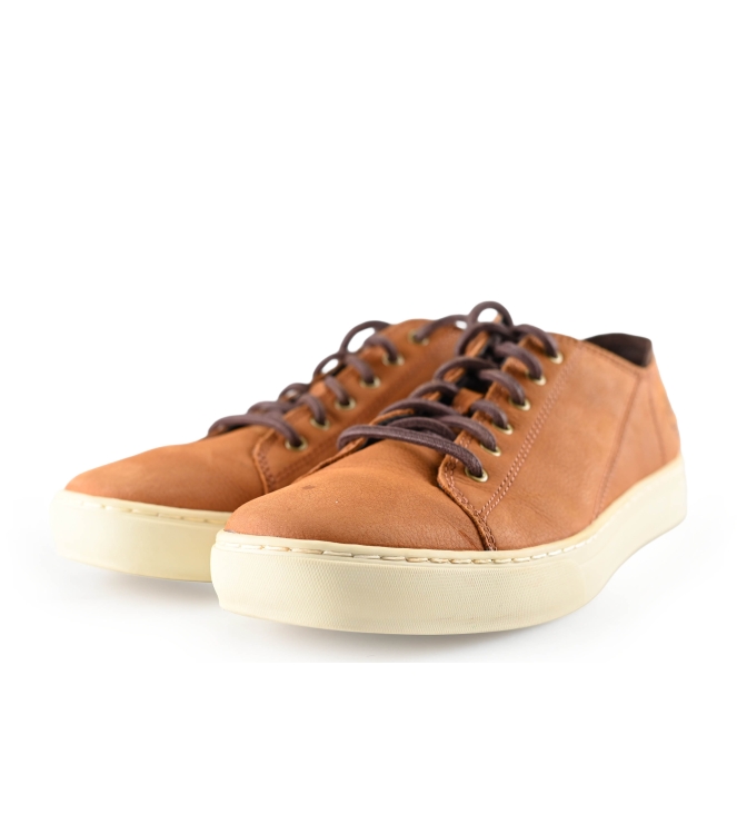 Timberland Sneaker