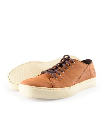 Timberland Sneaker