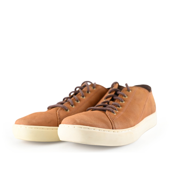 Timberland Sneaker