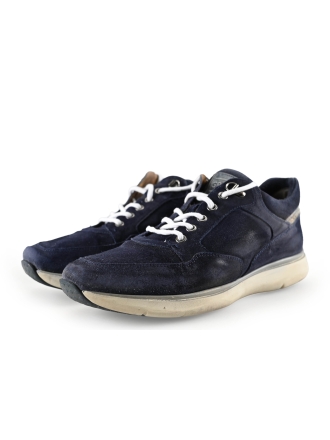 Greve Sneaker Schwarz 287013