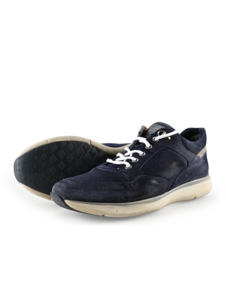 Greve Sneaker