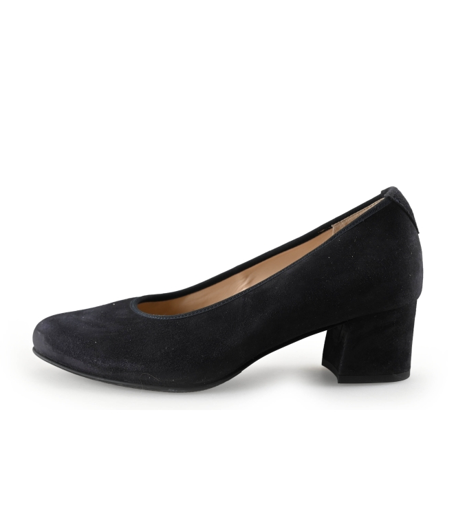 Hogl pumps