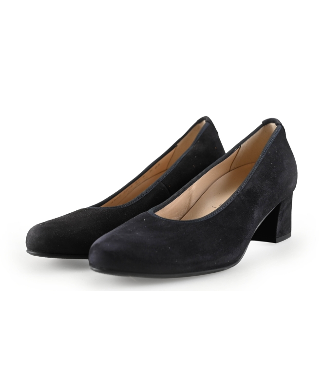 Hogl pumps