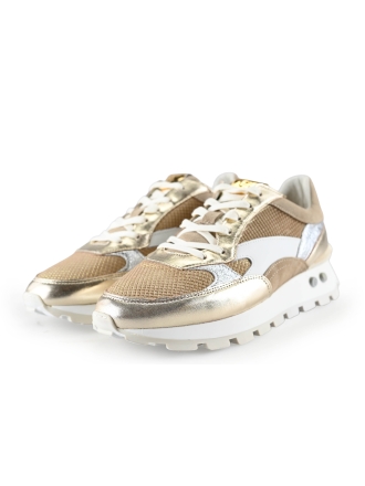 Floris van Bommel Sneaker Gold 287290