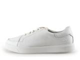 Timberland Sneaker