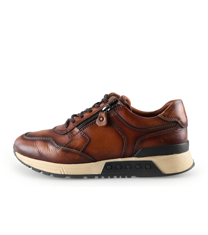 Greve Sneaker